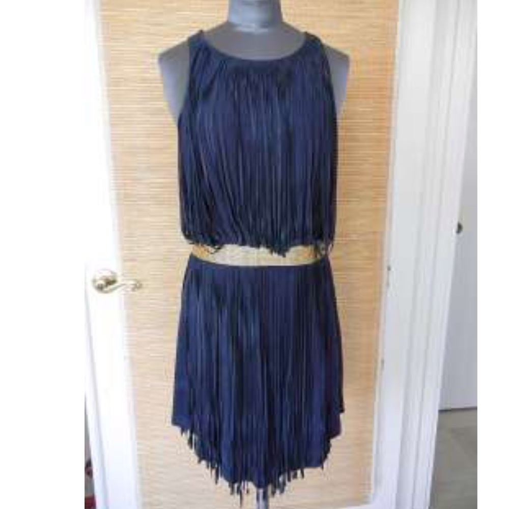 Haute Hippie Suede Fringe Dress